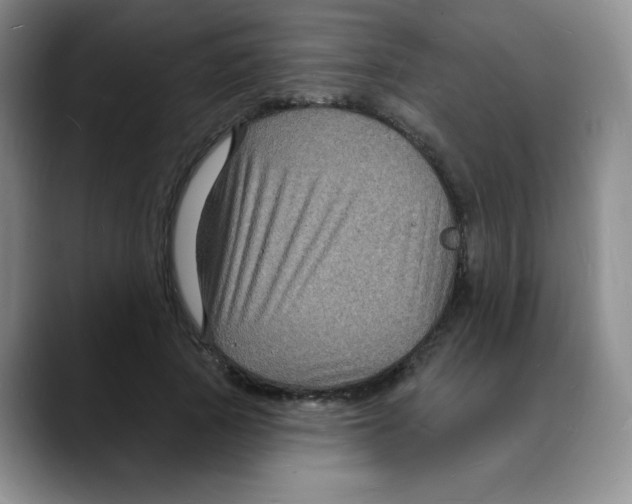 X0000088080737200706081729