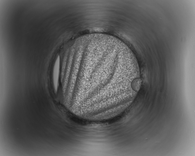 X0000088080738200706081729
