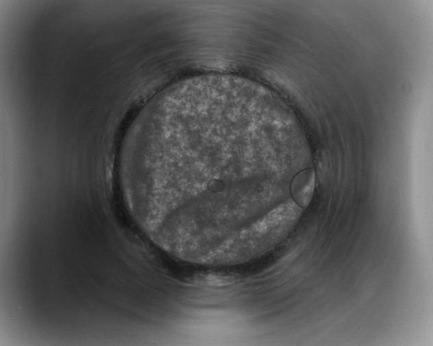 X0000088080739200706081729