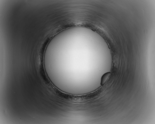 X0000088080740200706081729
