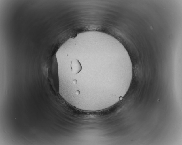 X0000088080741200706081729