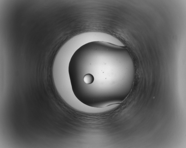 X0000088080744200706081729