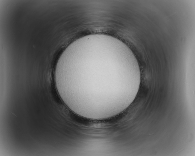 X0000088080746200706081729