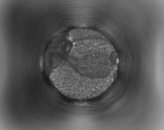 X0000088080747200706081729