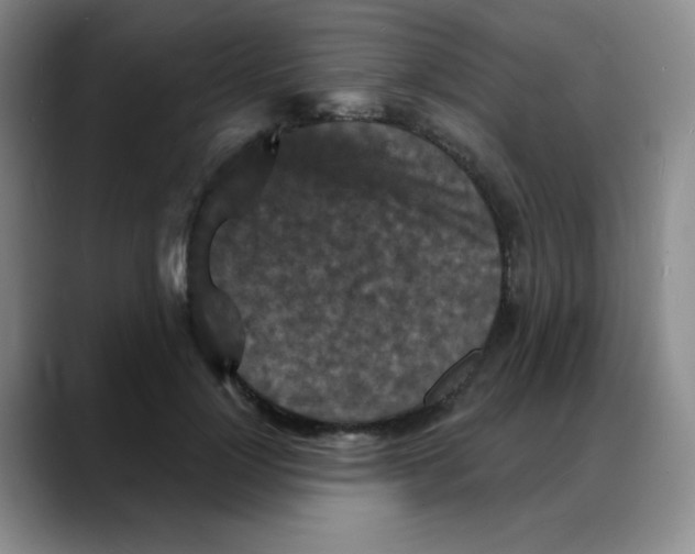 X0000088080748200706081729