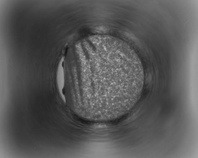 X0000088080749200706081729