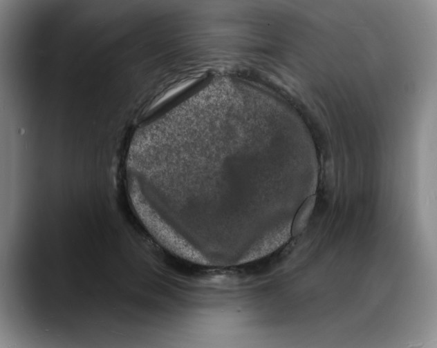X0000088080750200706081729