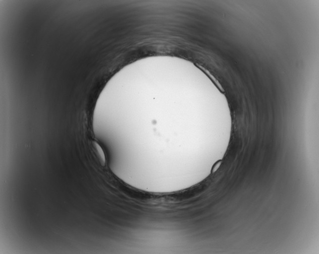X0000088080752200706081729