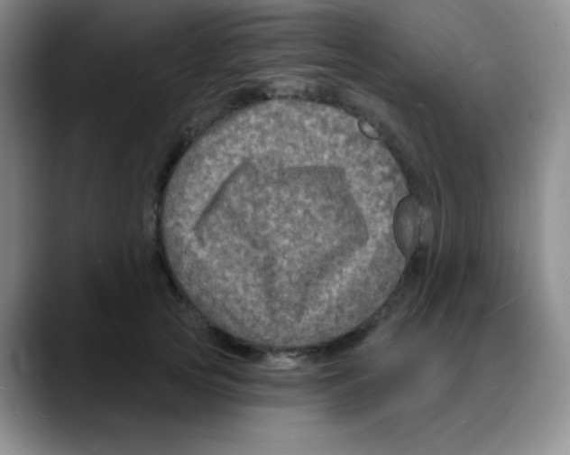 X0000088080753200706081729