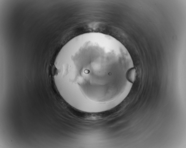 X0000088080754200706081729
