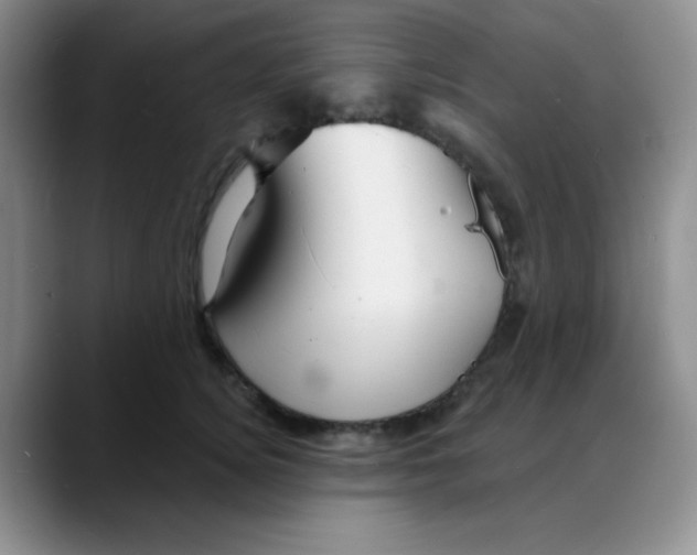 X0000088080756200706081729