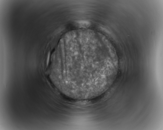 X0000088080757200706081729