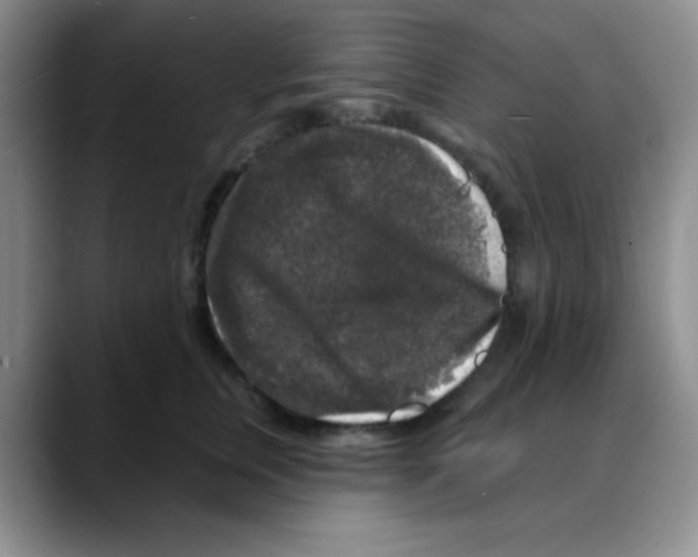 X0000088080759200706081729