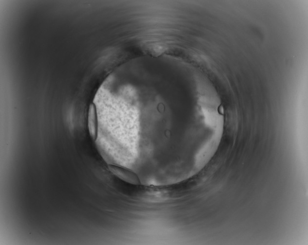 X0000088080760200706081729
