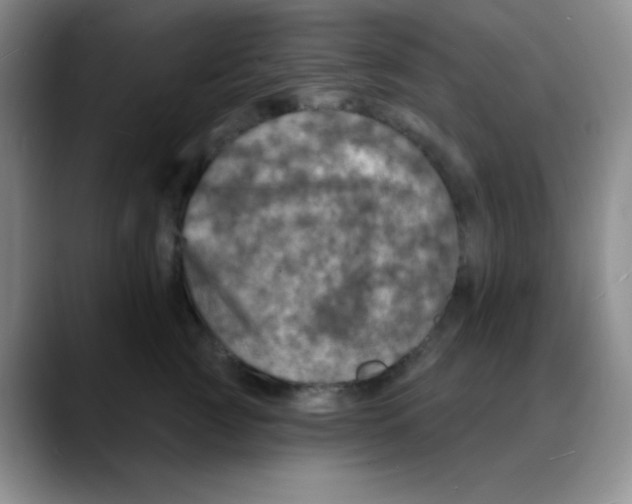 X0000088080761200706081729