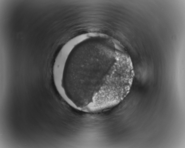 X0000088080763200706081729