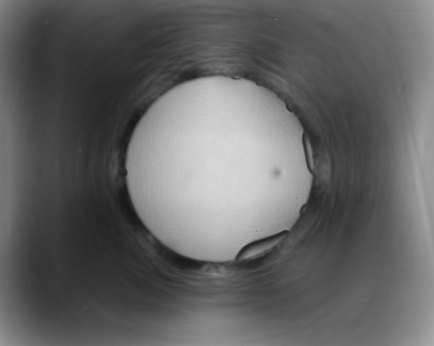 X0000088080764200706081729