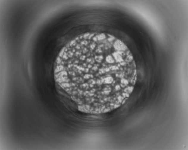 X0000088080765200706081729