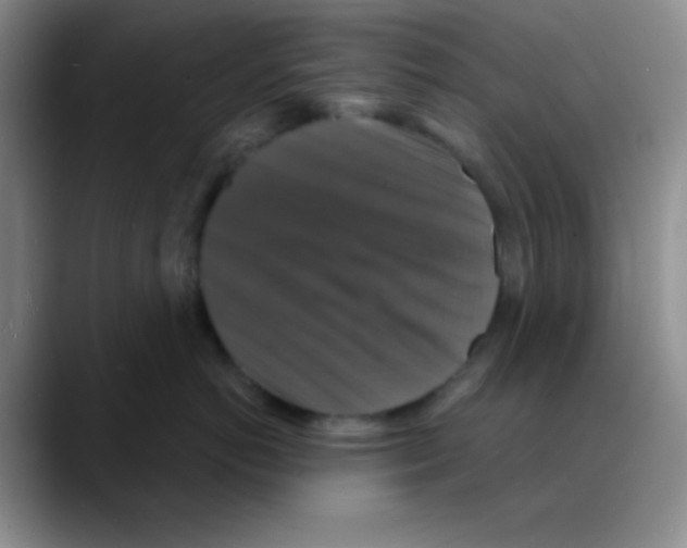 X0000088080766200706081729