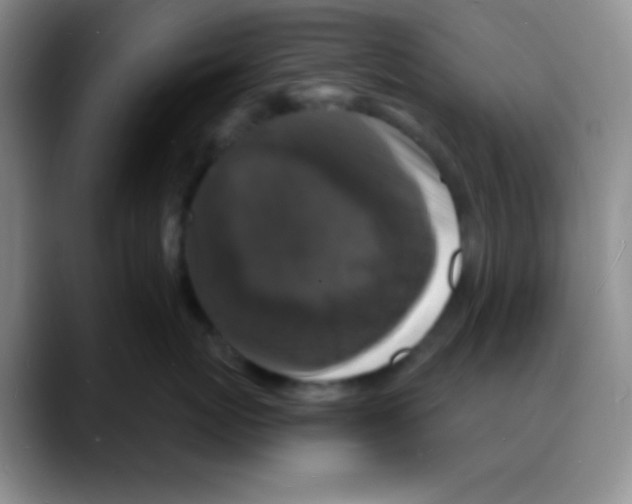 X0000088080767200706081729