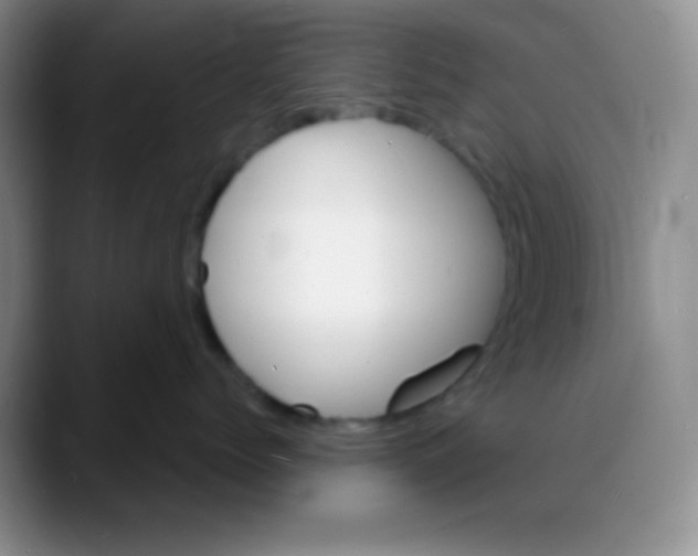 X0000088080768200706081729
