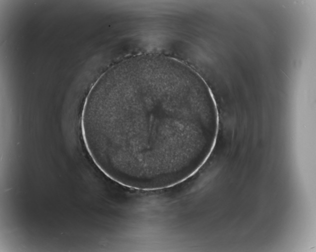 X0000088080769200706081729