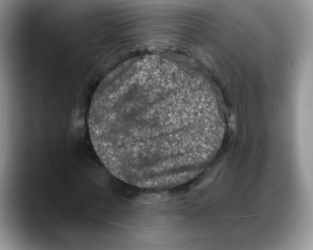 X0000088080771200706081729