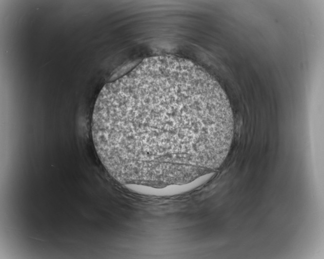 X0000088080772200706081729