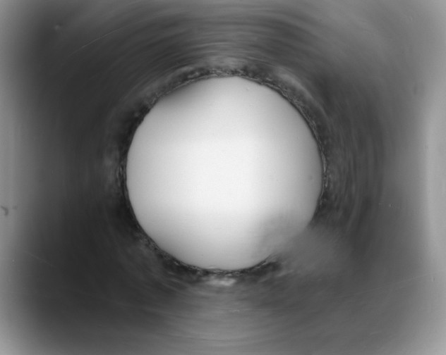 X0000088080773200706081729