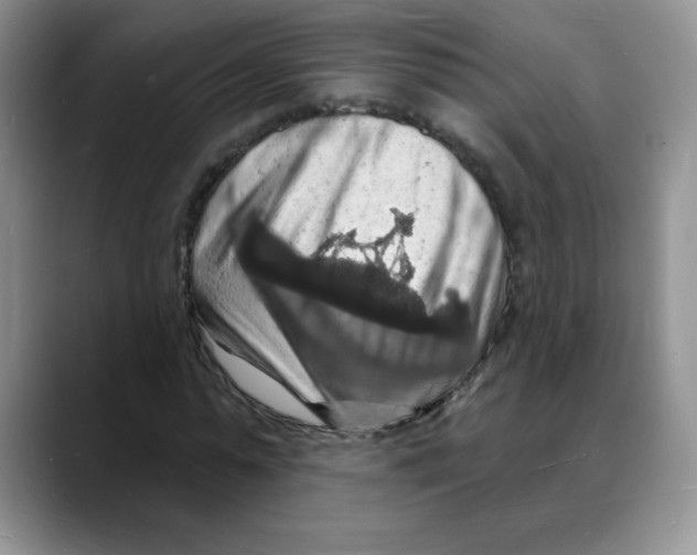 X0000088080775200706081729
