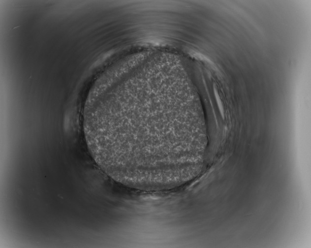 X0000088080776200706081729
