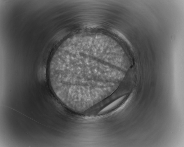 X0000088080777200706081729
