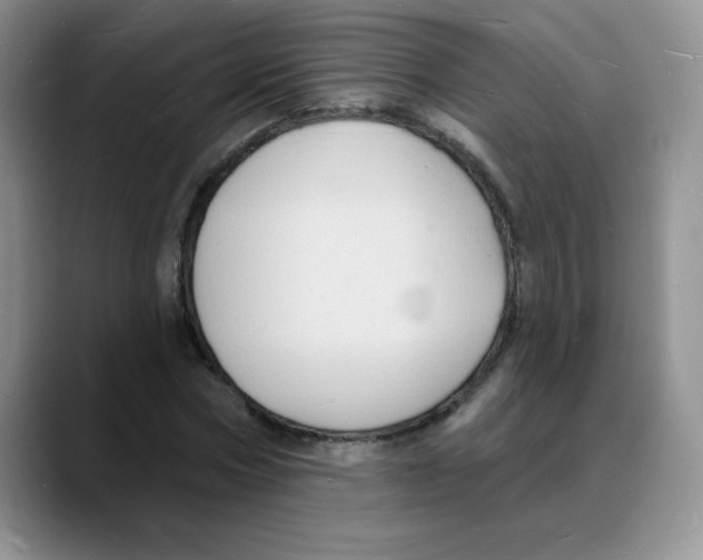X0000088080778200706081729