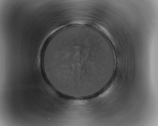 X0000088080779200706081729