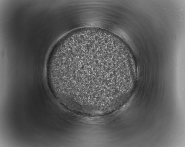 X0000088080780200706081729
