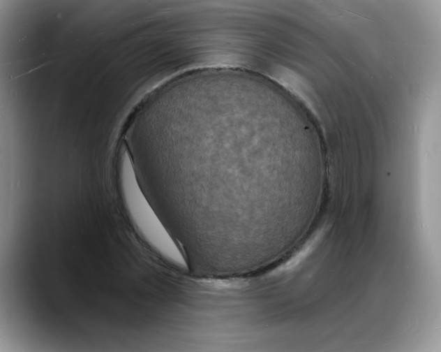 X0000088080781200706081729