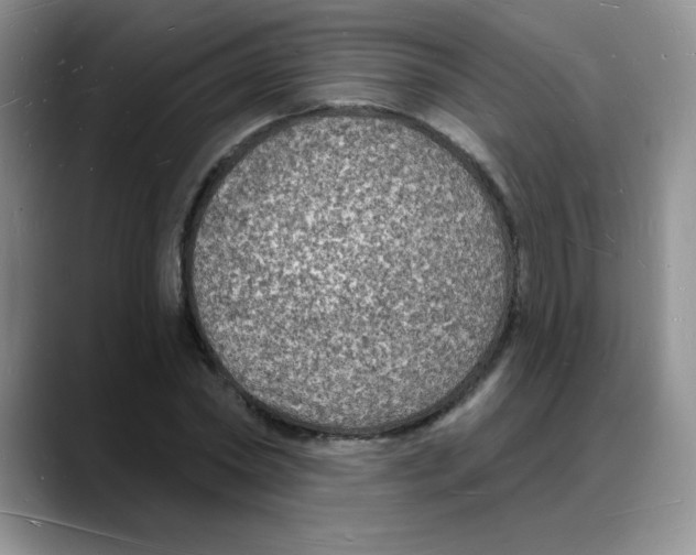 X0000088080782200706081729