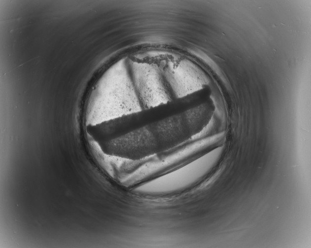 X0000088080783200706081729