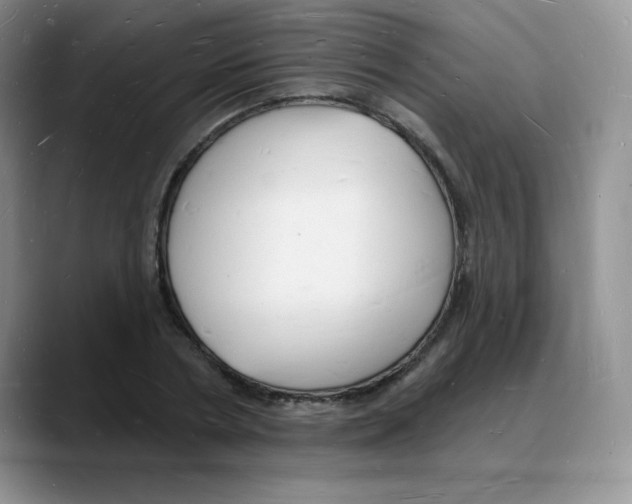 X0000088080786200706081729