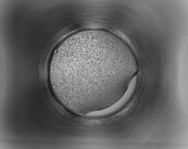 X0000088080787200706081729