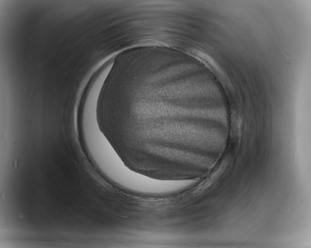 X0000088080788200706081729