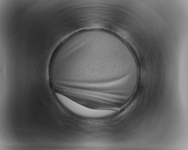 X0000088080789200706081729