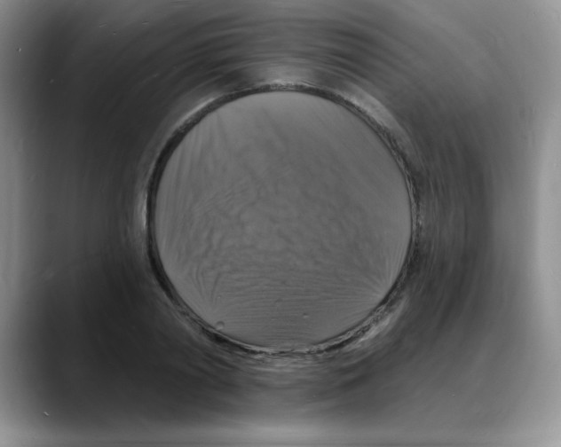 X0000088080790200706081728