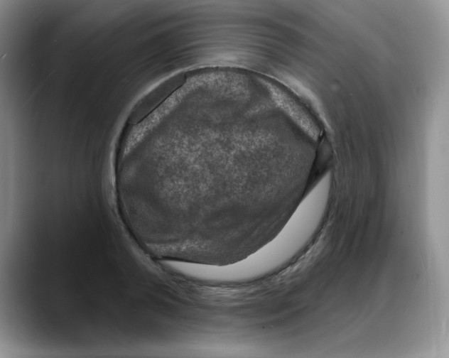 X0000088080792200706081728