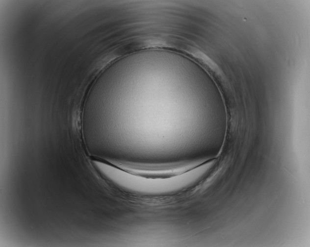 X0000088080793200706081728