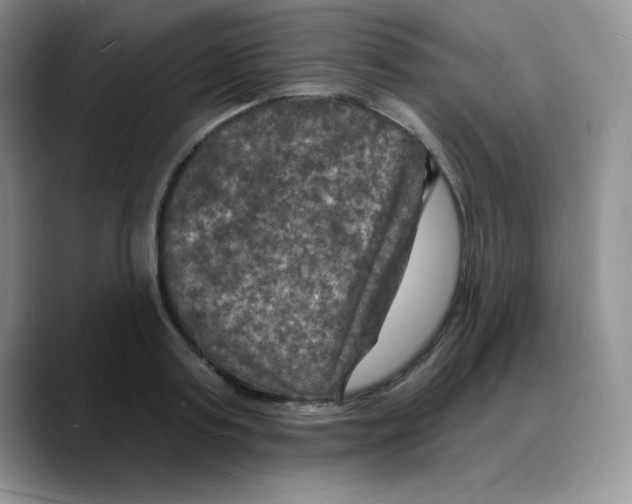 X0000088080795200706081728