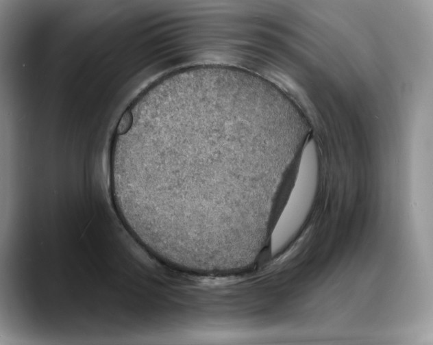X0000088080796200706081728