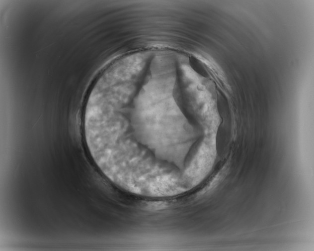X0000088080798200706081728