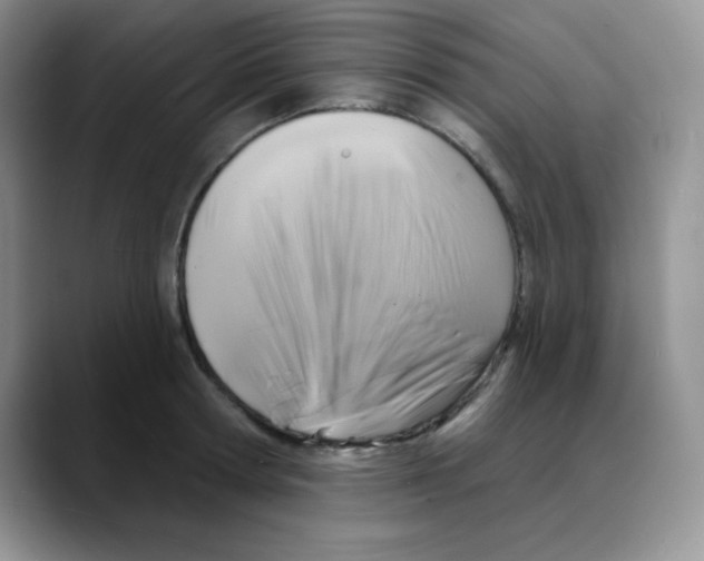 X0000088080802200706081728