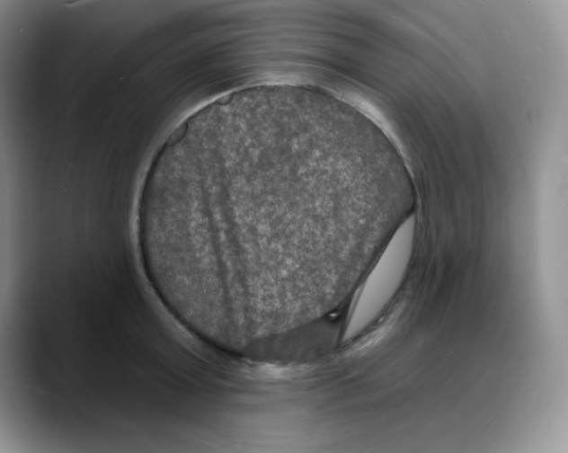 X0000088080803200706081728